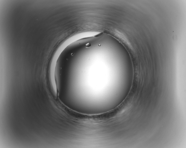 X0000088750538200706212116