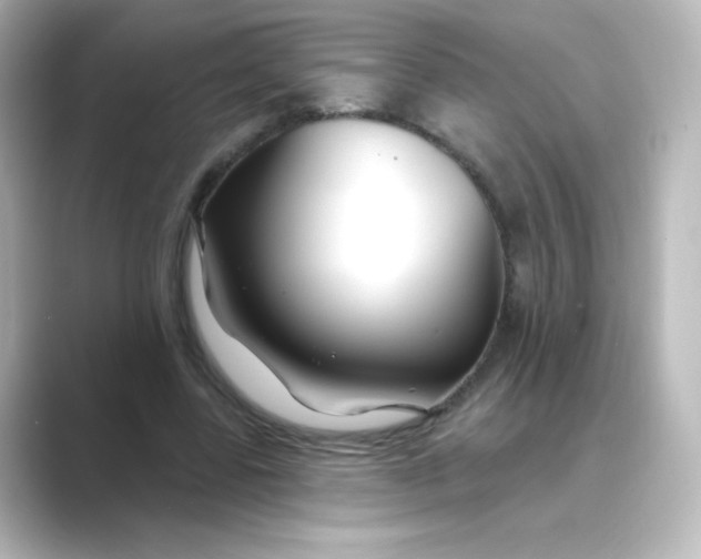 X0000088750539200706212116