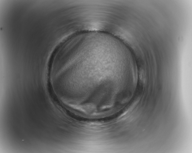 X0000088750540200706212116