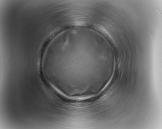 X0000088750542200706212116