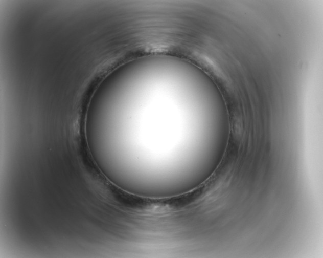 X0000088750543200706212116