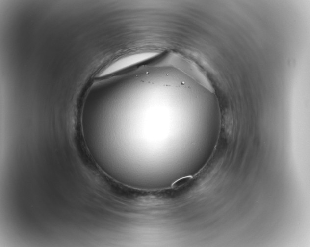 X0000088750544200706212116