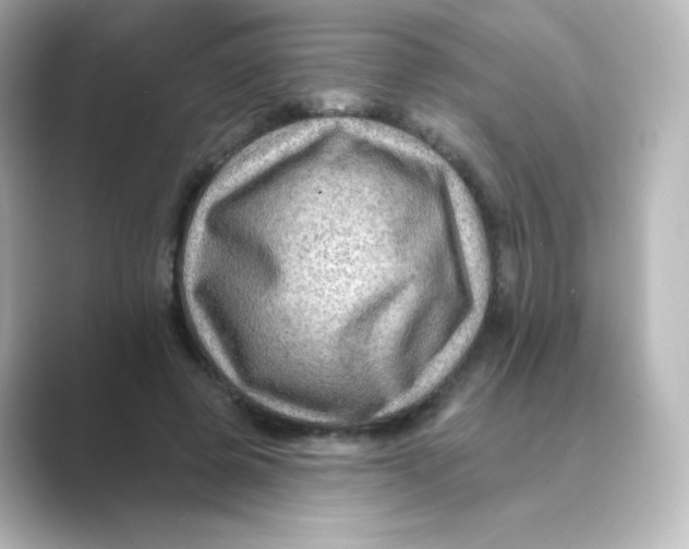 X0000088750545200706212116