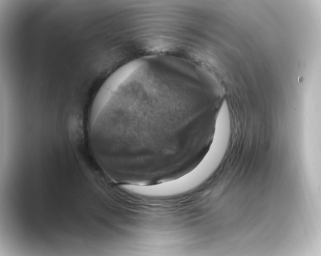 X0000088750547200706212116