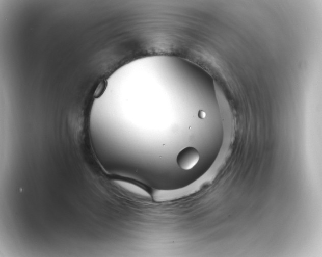 X0000088750548200706212116