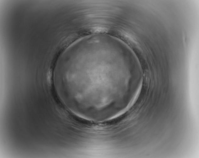 X0000088750550200706212116