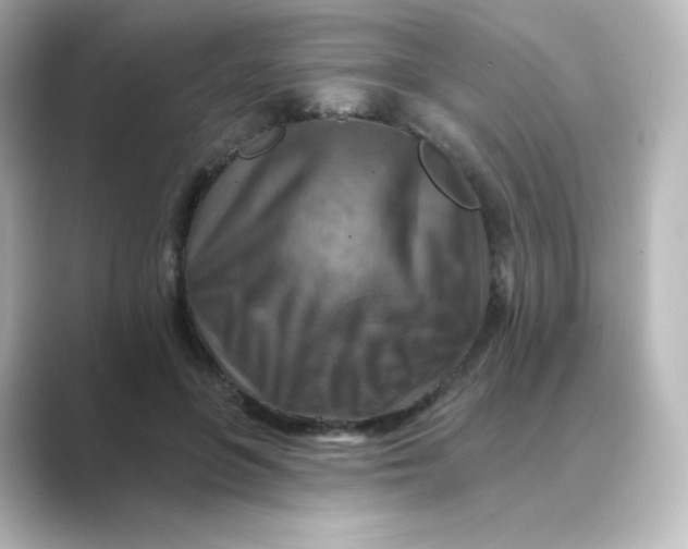 X0000088750551200706212116