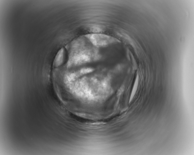 X0000088750553200706212116