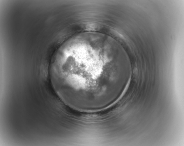 X0000088750554200706212116