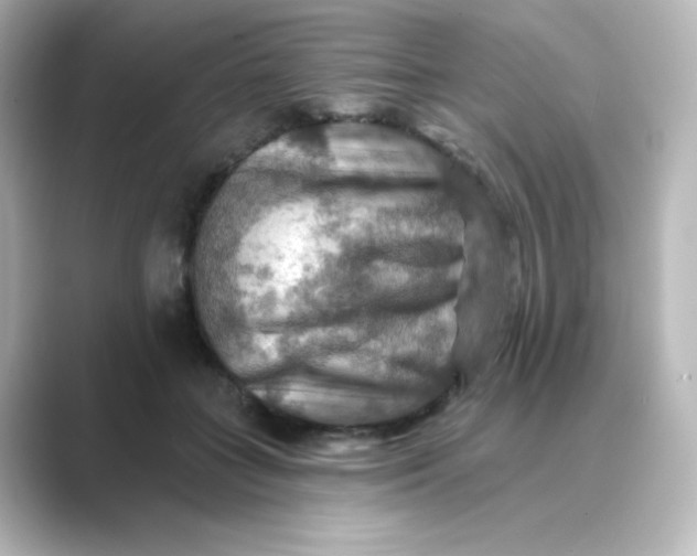 X0000088750555200706212116