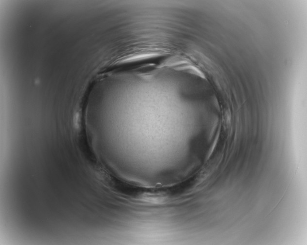 X0000088750556200706212116