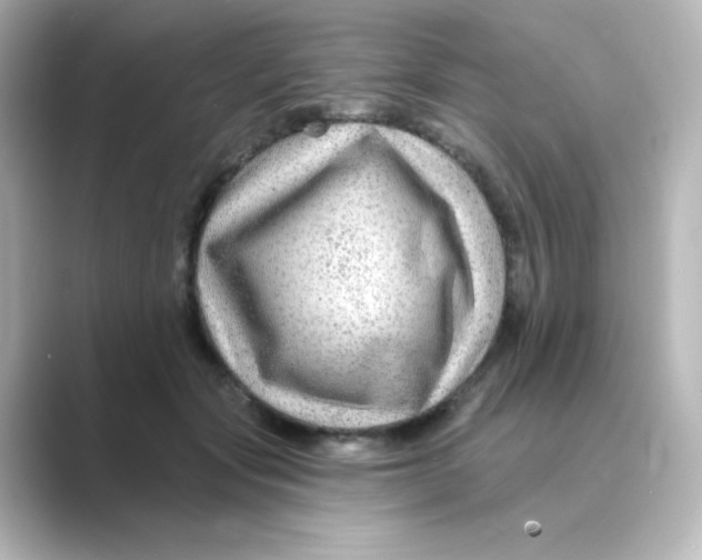 X0000088750557200706212116