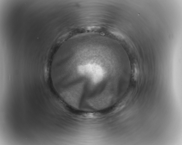 X0000088750558200706212117