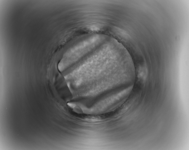 X0000088750559200706212117