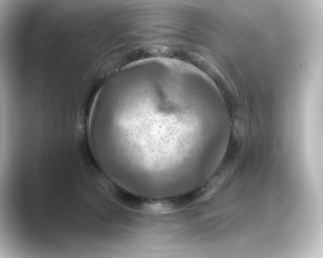 X0000088750561200706212117