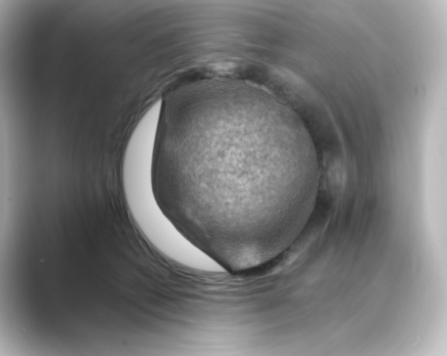 X0000088750562200706212117