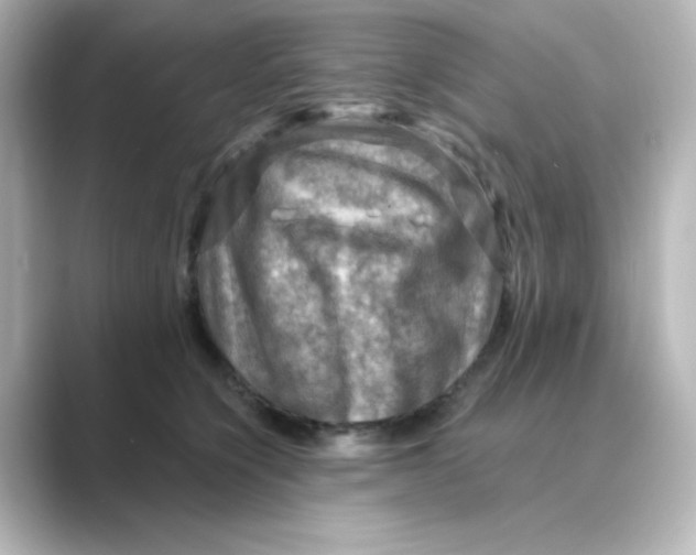 X0000088750564200706212117