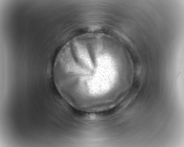 X0000088750565200706212117