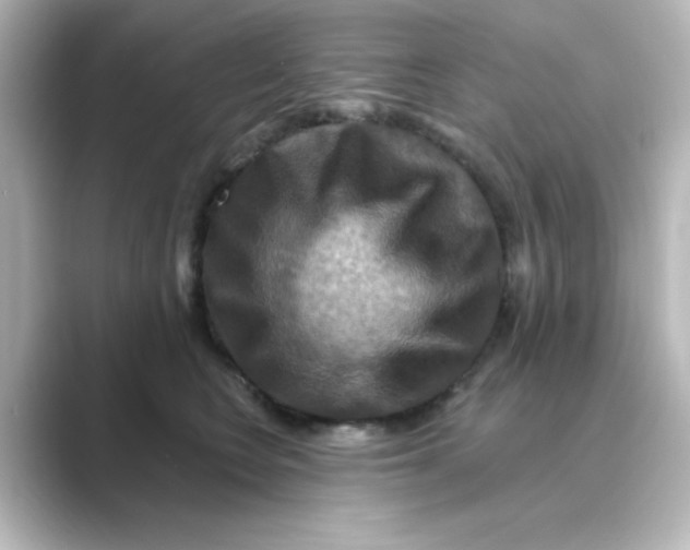 X0000088750566200706212117