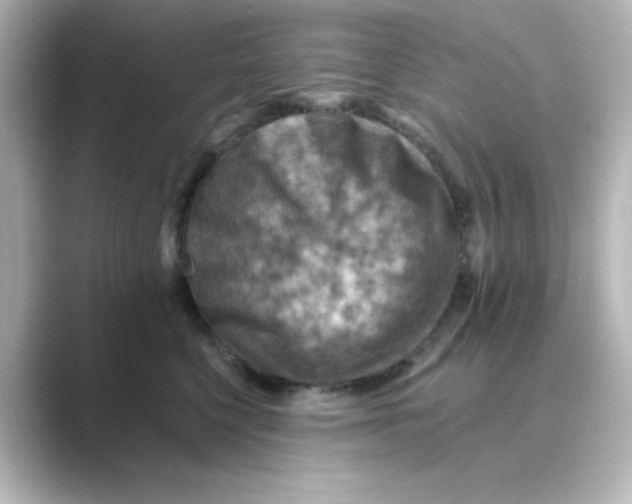 X0000088750568200706212117