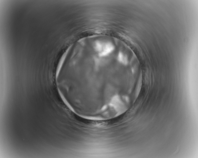 X0000088750569200706212117