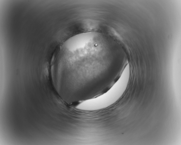 X0000088750570200706212117