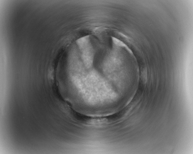 X0000088750571200706212117