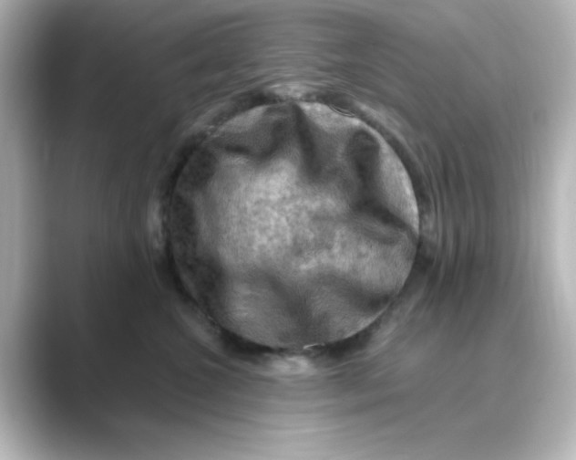 X0000088750572200706212117