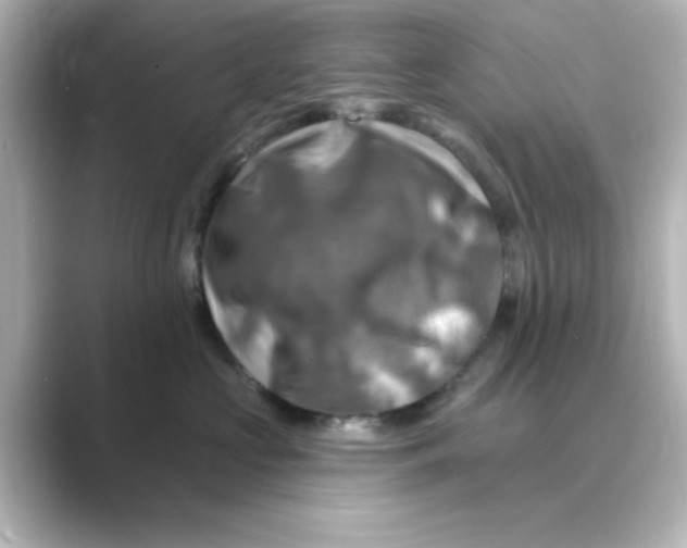 X0000088750573200706212117