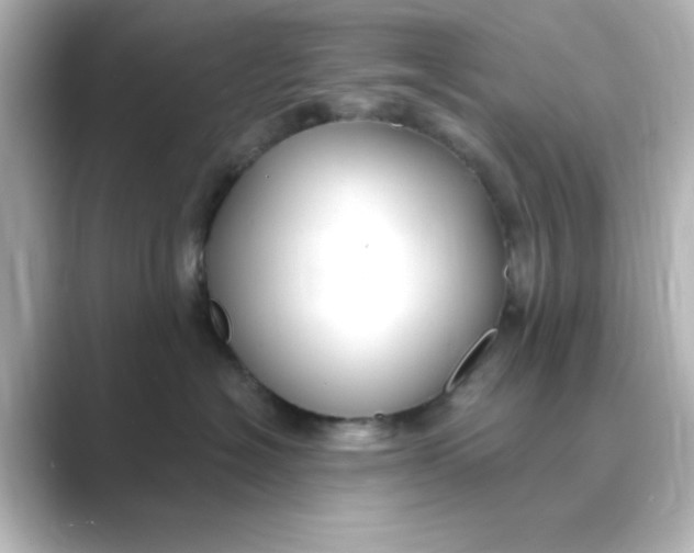 X0000088750574200706212117