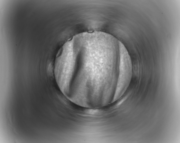 X0000088750575200706212117