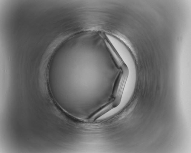 X0000088750577200706212116