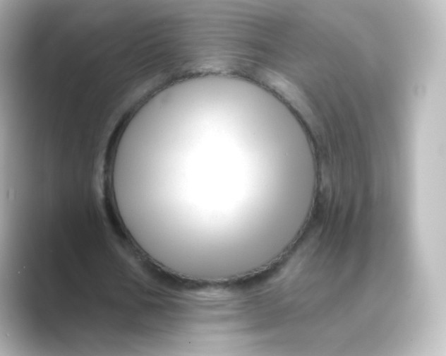 X0000088750578200706212116