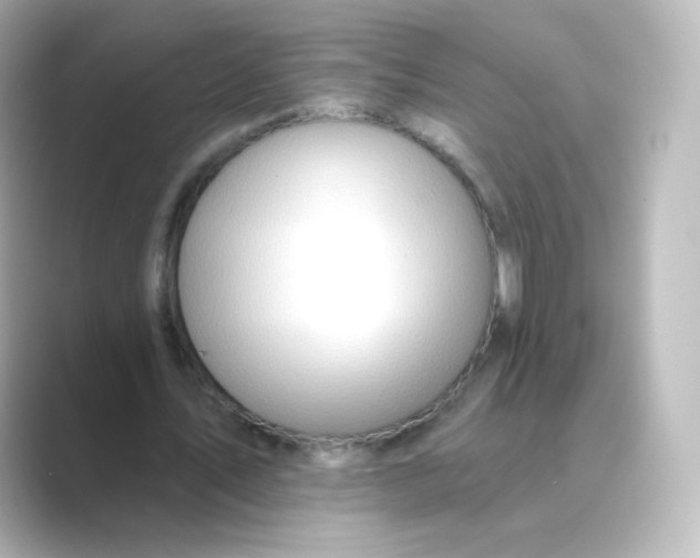 X0000088750579200706212116