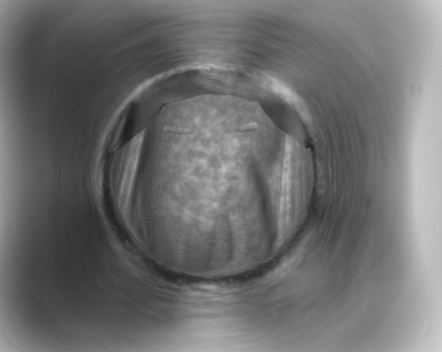 X0000088750580200706212116