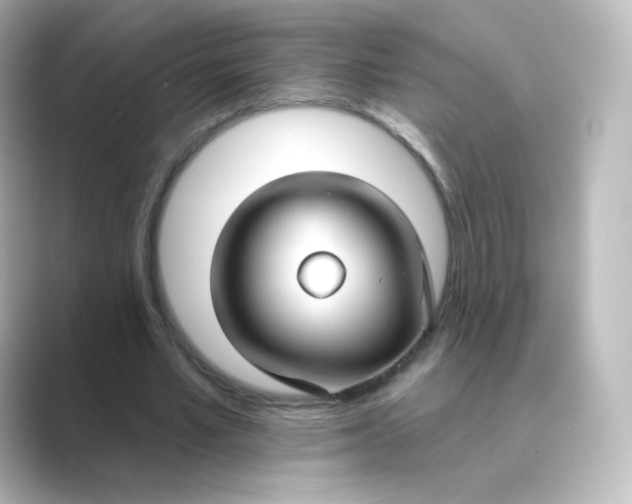 X0000088750581200706212116