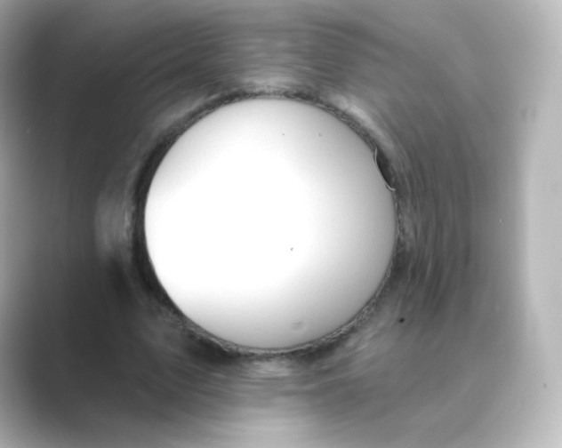 X0000088750583200706212116