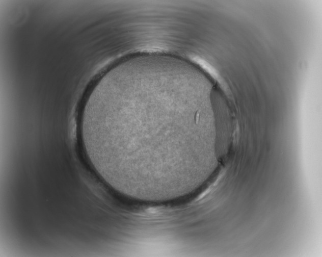 X0000088750584200706212116