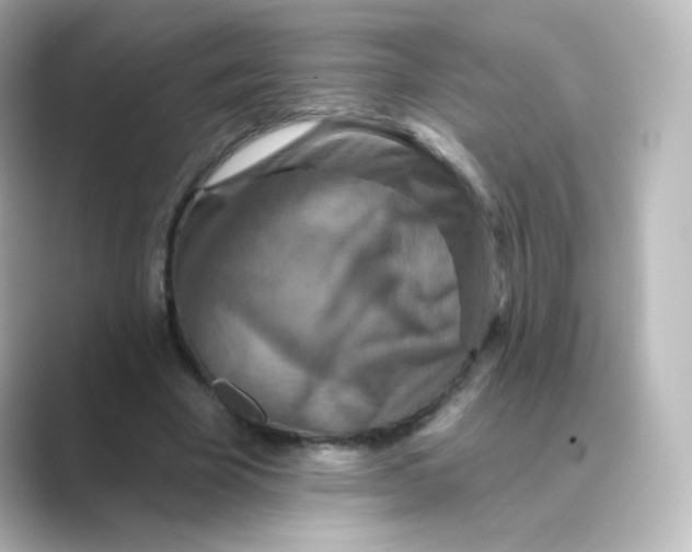 X0000088750585200706212116