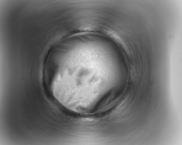 X0000088750586200706212116