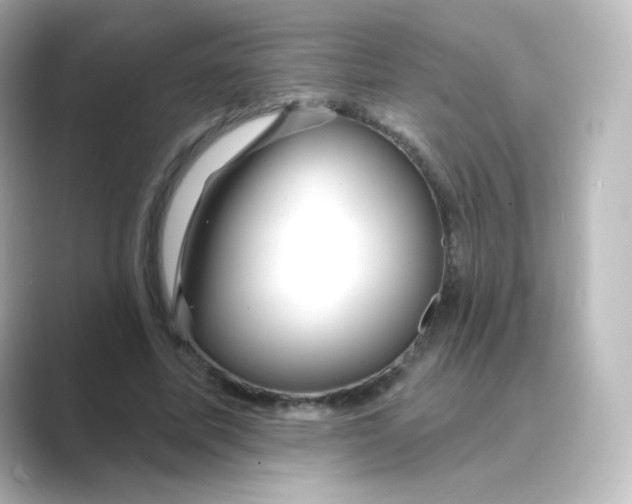 X0000088750587200706212116