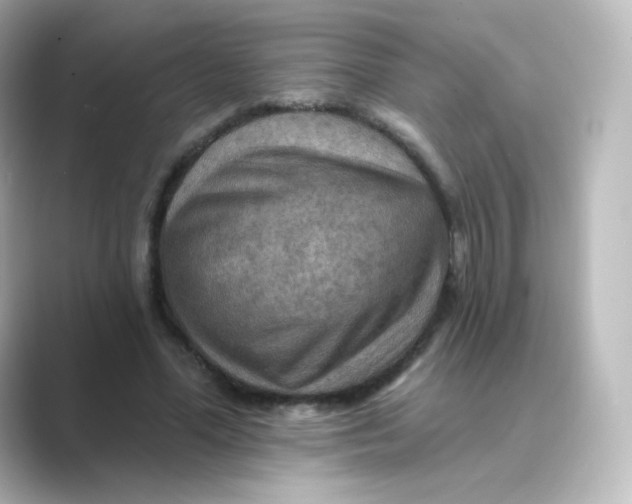 X0000088750588200706212116