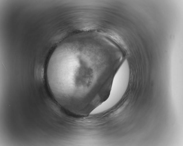 X0000088750589200706212116