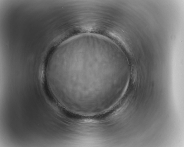 X0000088750590200706212116