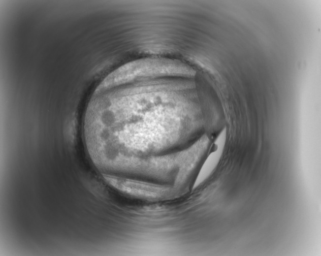 X0000088750591200706212116