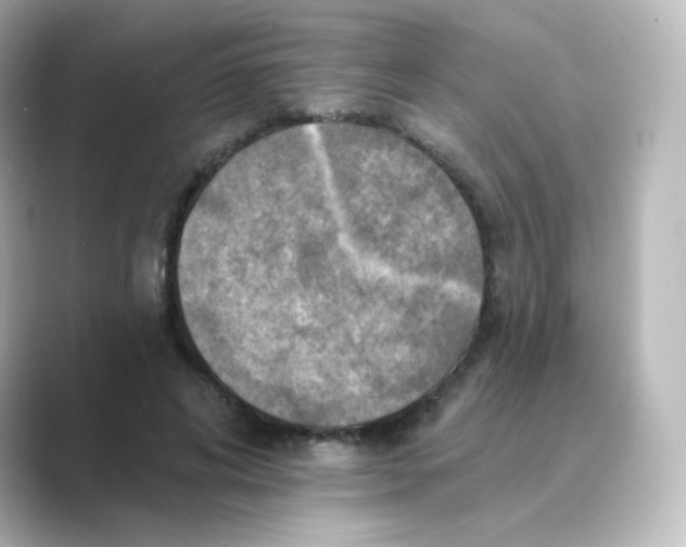 X0000088750592200706212116