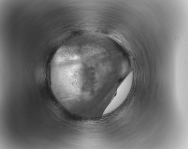 X0000088750593200706212116