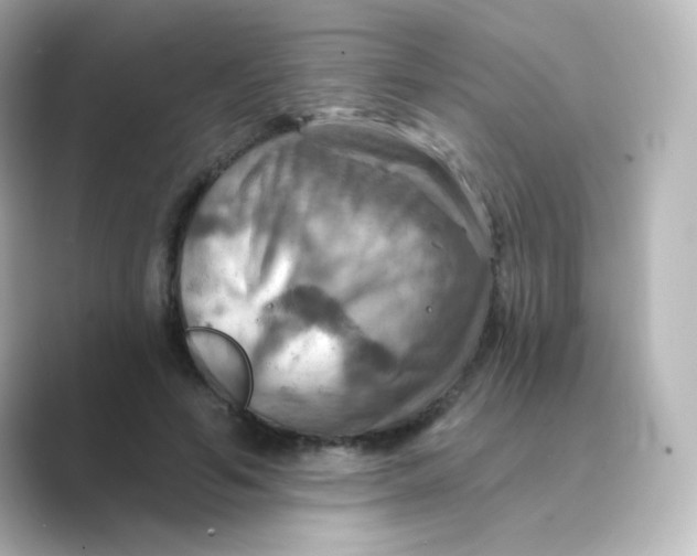 X0000088750594200706212116