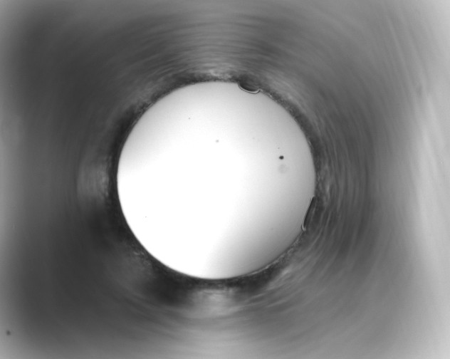 X0000088750595200706212116