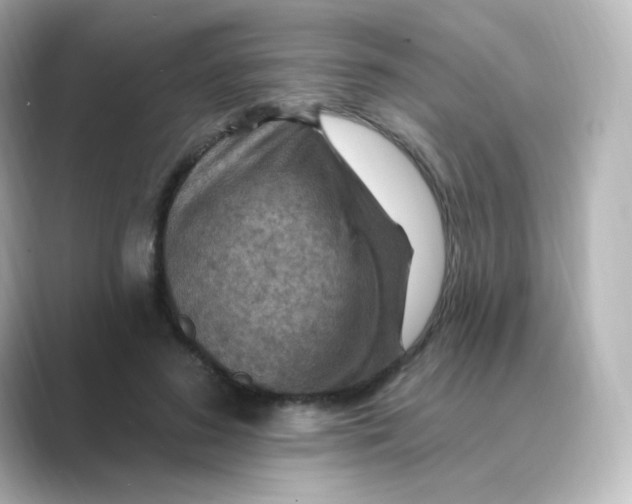 X0000088750596200706212116